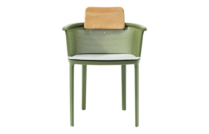 nicolette dining armchair with cushion