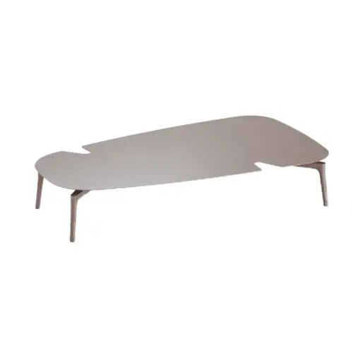 cushion Low table aikana