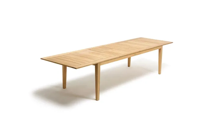 ribot ext table 2